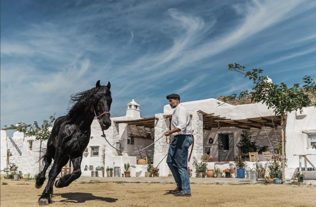 Rizes Mykonos - Folklore Farmstead Mykonos Town Exterior photo